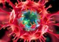 UCLA-Led Team Strives to Decode the Language of Cells — Technology and Engineering