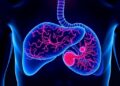 UCLA Researchers Secure $3.2 Million NIH Grant to Create AI-Driven Personalized Liver Cancer Therapy — Medicine