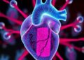 University of Cincinnati Scientist Awarded $3.3M Grant to Investigate Microplastics’ Effects on Cardiac Health — Chemistry