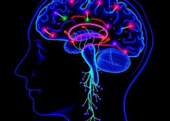 University of Ottawa Researchers Reveal Hidden Network Driving Aggressive Brain Cancer Growth, Offering New Hope to Overcome Treatment Resistance — Biology