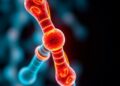 University of Pittsburgh Scientists Uncover Surprising Chromosome Interaction Driving Aggressive Cancers — Medicine