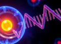 Unlocking the Genome’s Power Source: Scientists Reveal How the Nucleus Generates Energy — Biology