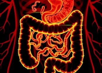 Unraveling PET-MPs’ Role in Inflammatory Bowel Disease — Technology and Engineering