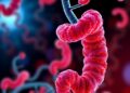 Unraveling m6A RNA Modification in Colorectal Cancer: Key Regulatory Mechanisms, Oncogenic Signals, and Metabolic Pathways — Biology
