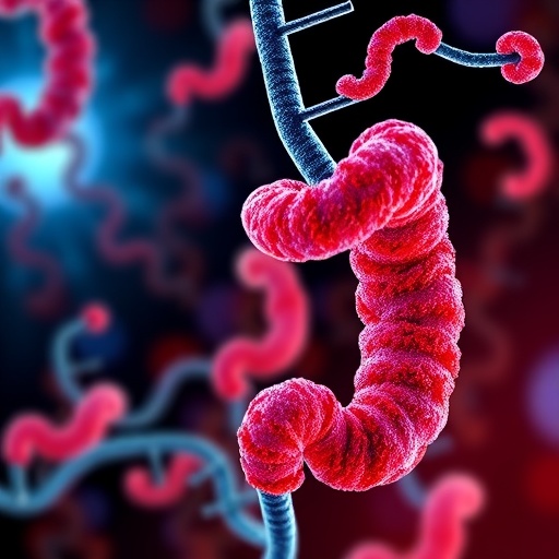Unraveling m6A RNA Modification in Colorectal Cancer: Key Regulatory Mechanisms, Oncogenic Signals, and Metabolic Pathways — Biology