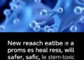 Return exactly one rewritten English science news headline for the original title below. Maximum 12 words. Output plain text only. Do not use HTML, Markdown, quotes, labels, explanations, bullets, numbering, or multiple options. Original title: New research provides a promising step towards safer, less toxic stem cell transplants