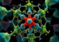 Architecture of the 8 MDa Hdr–Vhu–Fwd super-assembly in class I methanogens