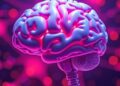 AI Enhanced with Cerebellum-Like Function for Improved Learning