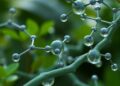 AI Identifies Environmental Chemicals with Highest Potential Health Risks