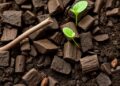 AI Model Speeds Scientific Discovery in Soil Carbon Research