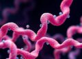 AI Redesigns Starting Conditions to Improve Protein Evolution Outcomes