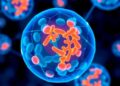 AI Tool Enhances Accuracy in Predicting Patient Response to Cancer Immunotherapy Drugs — Cancer