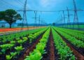 AI may help repair agriculture’s broken nitrogen cycle