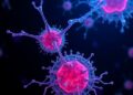 Aging Cells Revert to Stem Cells as Self-Repair Mimics