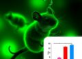 All-Trans Retinoic Acid Suppresses Severe Fever With Thrombocytopenia Virus Inflammation in Mice