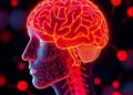 Alzheimer’s Disease Biomarkers Predict Cognitive Decline in Adults Over 80 — Biology