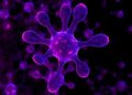 Aneuploidy Drives Acquisition of Key Genes in Breast Cancer Progression