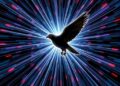 Backreaction of Stimulated Hawking Radiation Revealed — Medicine