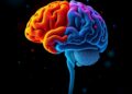 Balancing Innovation and Validation in Neurobehavioral Assessment Methods