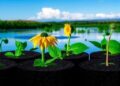 Biochar-Based “Concentrate and Destroy” Method Provides New Solution for PFOS Removal from Water — Technology and Engineering