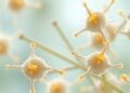 Bioengineered Bacterial Spores Found for Broader New Applications