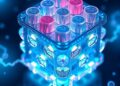 Bioinspired Hierarchical Hydrogel Electrolyte Enables Ultralong-Life Flexible Zinc Batteries