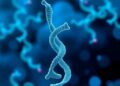 CRISPR Guides Bacteria’s Backup Defenses Like a Commanding Officer