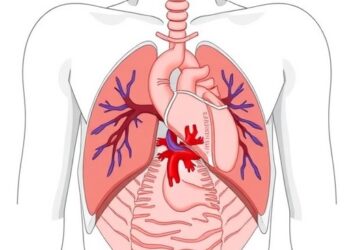 Cardiac Adaptation in Congenital Diaphragmatic Hernia — Technology and Engineering