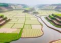 China’s water quality improvements impact agricultural productivity negatively