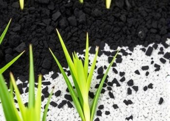 Chitosan-Boosted Biochar May Prevent Arsenic Contamination in Rice