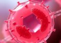 Chitosan Hydrogel Stabilizes Red Blood Cell Membranes for Environmental Sensors