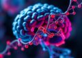 Compact genetic switch offers new potential therapies for drug-resistant epilepsy