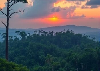 Deforestation declines show corporate pledges aren’t the driving force