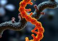 Early RNA Life May Have Repaired Genomes, Shedding Light on Origins