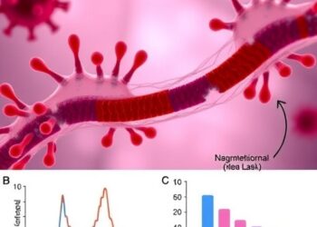 Endothelial Activation Fuels Thromboinflammation in Long COVID, Study in Children