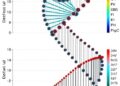 Enhanced Bayesian Hybrid Inference Using Genome Sequence Data