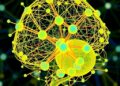 Enhancing Neural Network Quantum Monte Carlo Using Local Pseudopotentials