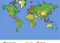Environment Shape Influences Route Learning and Cognitive Map Formation