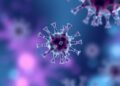 Extracellular Vesicles May Help Weather Cytokine Storms