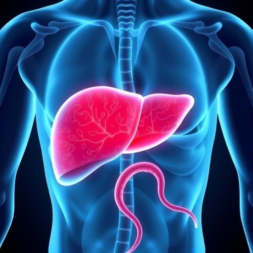 Fatty Liver Accelerates Aggressive Cancer Metastasis — Biology