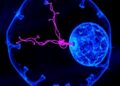 Final Breakthrough from Dr. Kathryn Anderson’s Lab: How Embryo Signals Direct Cell Fate — Biology
