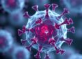 First Human Trial Explores Immune-Engineered Cell Therapy for Type 1 Diabetes