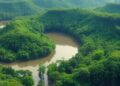 Flexible Payments for Environmental Services Boost Cost-Effectiveness in Brazilian Amazon