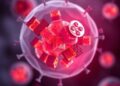 Global study reveals key process controlling cellular fat energy use