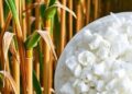 Green method converts sugarcane waste into premium dissolving pulp