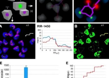 Human milk exosomal miR-144-5p reduces NEC by modulating TLR4/NF-κB