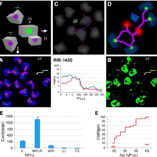 Human milk exosomal miR-144-5p reduces NEC by modulating TLR4/NF-κB