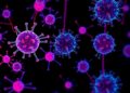 Immunothrombotic Endotypes Shape How Developing Immunity Remodels After Therapy