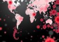 Infection Study Maps Protein Contact Sites, Shows Influenza Hijacks Paraspeckles