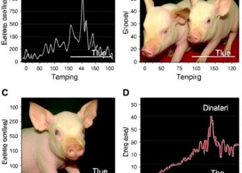 Inflation-Induced Changes in Epinephrine Pharmacokinetics and Dynamics in Piglets